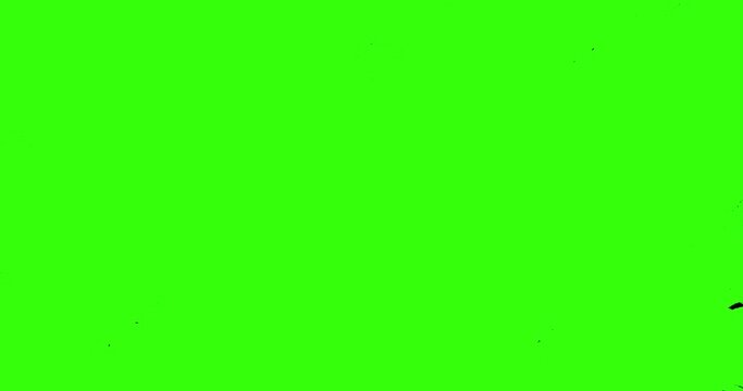 abstract paint brush stroke shape white ink splattering flowing and washing on chroma key green screen, ink splatter effect with alpha channel