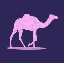 “Elegant Silhouettes: Camels in a Purple Twilight” Discover the serene beauty in this camel illustration, drawn with smooth, elegant lines in soft shades of purple. 