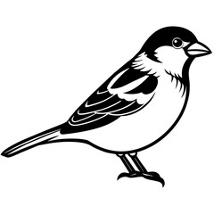 sparrow silhouette vector art illustration
