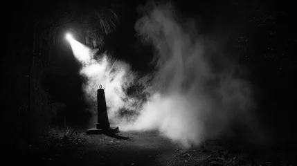 Foto op Canvas A black and white photo of a foggy, dark night with a light shining on a large object © Дмитрий Симаков