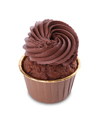 One delicious chocolate cupcake isolated on white