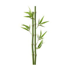 Obraz premium Green Bamboo Stalk with Fresh Leaves Isolated, Representing Growth and Natural Beauty Concepts.