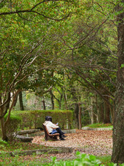 春の新緑の公園のベンチで休憩する女性の姿