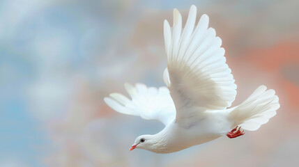 A white bird flying high, representing freedom.