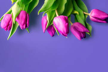 Obraz premium Bouquet of beautiful tulips on wooden background. Tulips on old boards