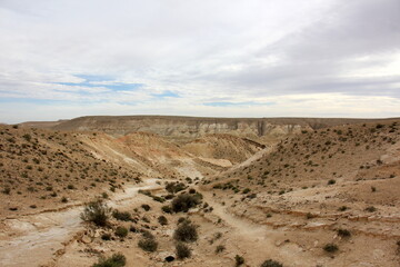 The Negev is a desert in the Middle East, located in Israel and occupying about 60% of its territory.