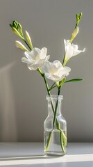 freesia in vase