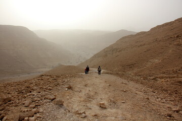 The Negev is a desert in the Middle East, located in Israel and occupying about 60% of its...