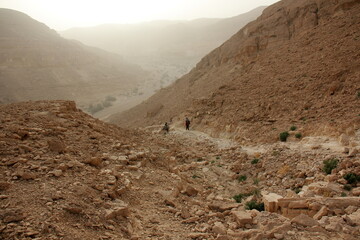 The Negev is a desert in the Middle East, located in Israel and occupying about 60% of its territory.