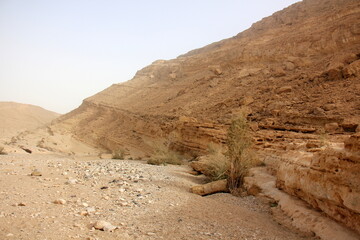 The Negev is a desert in the Middle East, located in Israel and occupying about 60% of its territory.