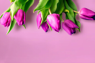 Bouquet of beautiful tulips on wooden background. Tulips on old boards