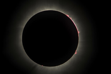 Closeup on corona and sun flares during April 8th 2024 total sun eclipse - obrazy, fototapety, plakaty