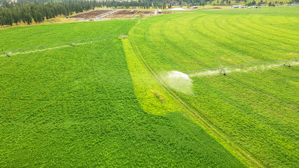 Irrigation systems in the agricultural field. Watering vegetation in dry season increases yield.