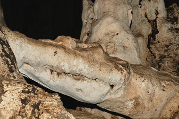 Crocodile shapes like formation  in Nam Lod Cave Tourist attraction in Tham Lot, Thailand