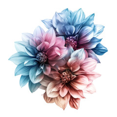 Close-up of Colorful Dahlia Flowers Illustration, Highlighting Artistic Creativity and Design Aesthetics.