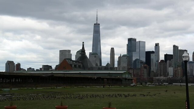 canada geese birds goose in front of nyc skyline (downtown view from liberty state park) skyscrapers overcast sky footage