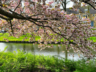 Amstelveen, Netherlands in Spring