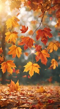 Autumn leaves hanging on a branch and sway in the wind, it's a wonderful autumn sunset vertical video