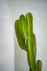 a inspirative decoration for inspiration