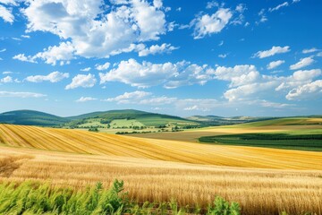 Peaceful rural landscape with lush green fields and a clear blue sky creating a serene and picturesque scene