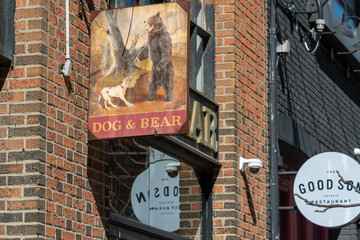Fototapeta premium sign outside The Dog & Bear Pub located at 1100 Queen Street West in Toronto, Canada (The Good Son restaurant sign behind)