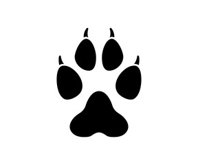 Wolf paw print. Wolf tracks. Wolf footprint. © Reiu