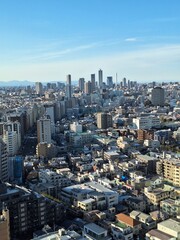 View of Tokyo from Bunkyo Civic Center observatory