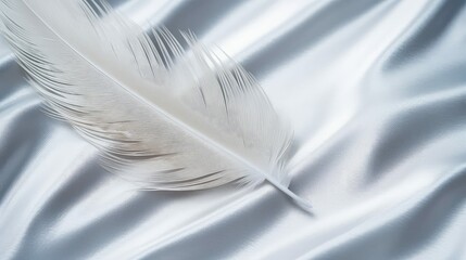 dichondra silver feather