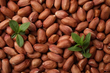 Many fresh unpeeled peanuts and leaves as background, top view