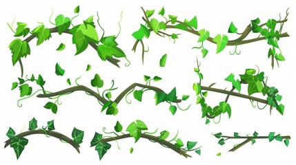 Modern cartoon illustration of exotic tropical garden with liana branches isolated on white background. Game borders for UI design, tropical garden with foliage. - obrazy, fototapety, plakaty