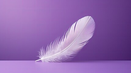 Obraz premium composition purple photography backgrounds