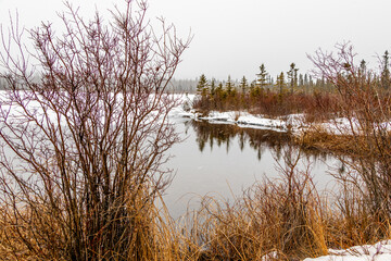 Snowy blowy day at Vermillion Lakes, Banff National Park, Alberta, Canada