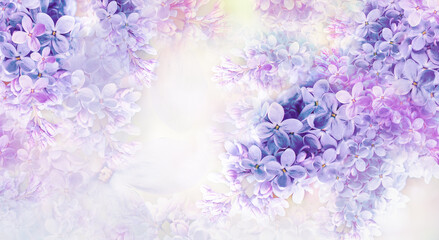 Floral purple spring background. Background of lilac flowers. A postcard for a holiday,...