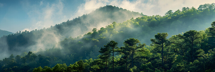 The Majestic Beauty of North Carolina's Climate - A Visual Representation