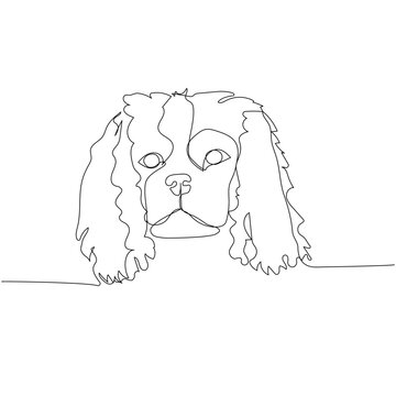 recommend clip art: Cavalier King Charles Spaniel dog breed, companion dog one line art. Continuous line drawing of friend, dog, doggy, friendship, care, pet, animal, family, canine.