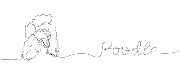 Poodle dog breed, companion dog one line art. Continuous line drawing of friend, dog, doggy, friendship, care, pet, animal, family, canine with inscription, lettering, handwritten.