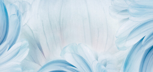 Light blue  petals. Floral spring background. Close-up. Nature.	
