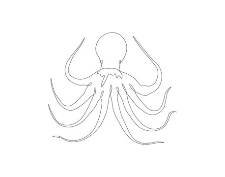 recommend clip art: Continuous line drawing of octopus. One line of cephalopod. Marine animal concept continuous line art. Editable outline.
                    