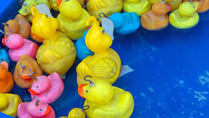 Carnival Game Colourful Rubber Ducks in Pond Amusement Park