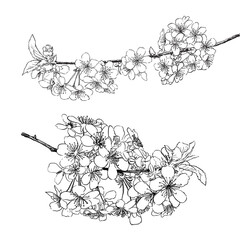 Spring tree flowers line art drawing black on white background collection. vector illustration