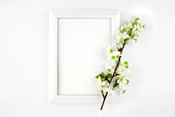 white wooden photo frame and branch with flowers on white