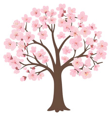 Fototapeta premium Cherry Blossom, Cherry Blossom Tree, Japanese Tree, Spring Tree, Spring Flower, Pastel Tree, Pastel Flower