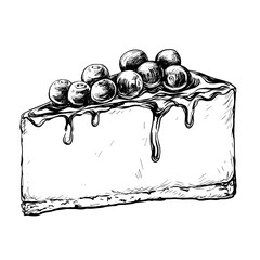 Cake slice vintage vector food sketch drawing