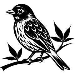     A tiny bird sitting on a branch.
