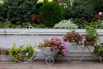 Fototapeta na wymiar park design of flower beds. Blooming flower beds