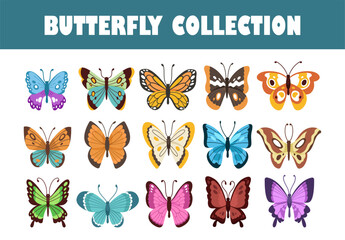 Set of butterfly vector illustration