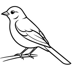     Bird on a branch vector illustration.
