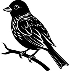     A tiny bird sitting on a branch.
