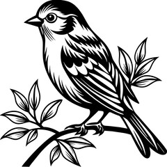    A tiny bird sitting on a branch.
