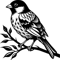     A tiny bird sitting on a branch.
